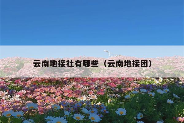 云南地接社有哪些（云南地接团）