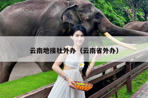 云南地接社外办（云南省外办）