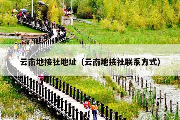 云南地接社地址（云南地接社联系方式）