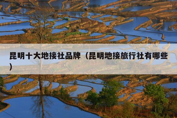 昆明十大地接社品牌（昆明地接旅行社有哪些）