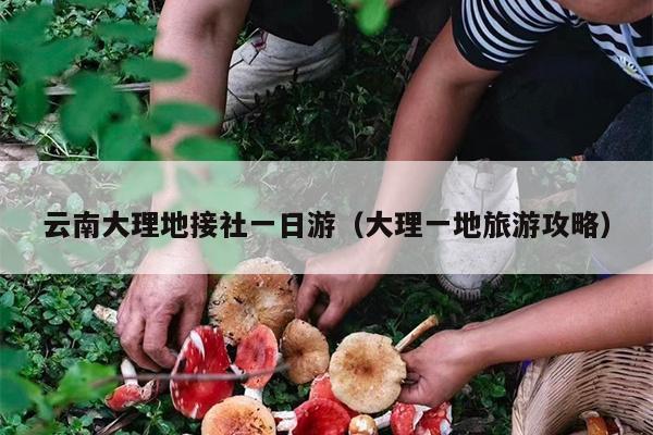 云南大理地接社一日游（大理一地旅游攻略）