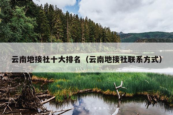 云南地接社十大排名（云南地接社联系方式）