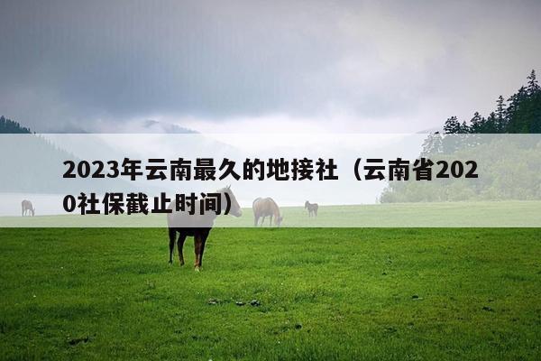 2023年云南最久的地接社（云南省2020社保截止时间）