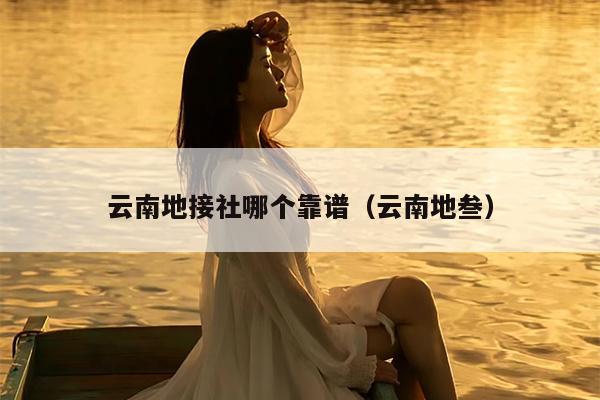 云南地接社哪个靠谱（云南地叁）