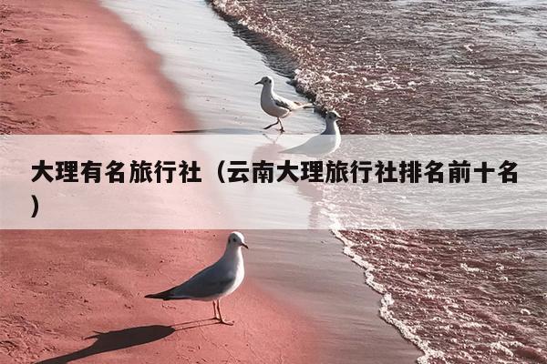 大理有名旅行社（云南大理旅行社排名前十名）