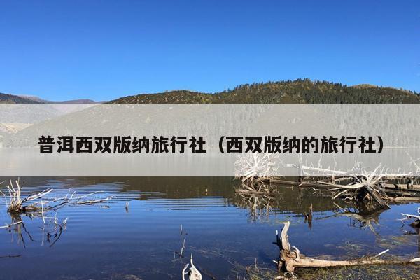 普洱西双版纳旅行社（西双版纳的旅行社）