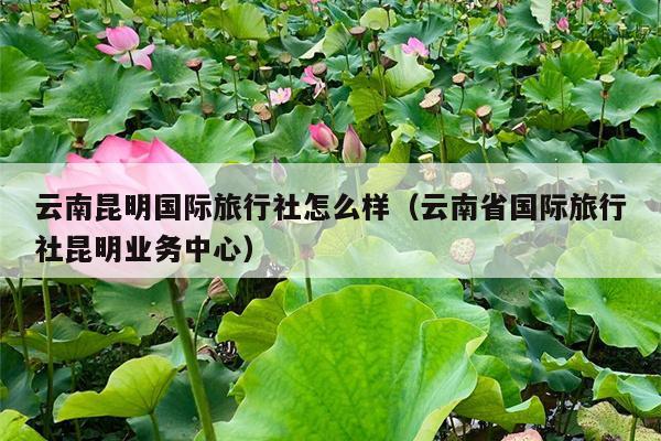 云南昆明国际旅行社怎么样（云南省国际旅行社昆明业务中心）