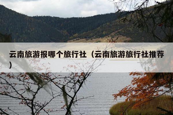 云南旅游报哪个旅行社（云南旅游旅行社推荐）