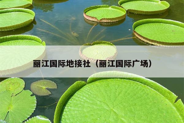丽江国际地接社（丽江国际广场）