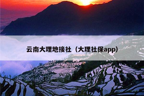 云南大理地接社（大理社保app）