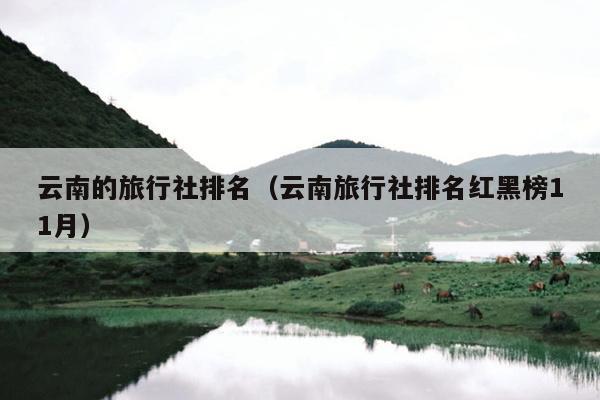 云南的旅行社排名（云南旅行社排名红黑榜11月）