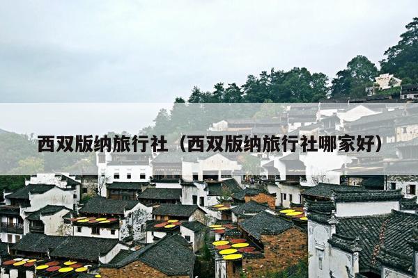 西双版纳旅行社（西双版纳旅行社哪家好）