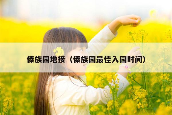 傣族园地接（傣族园最佳入园时间）