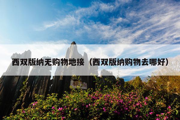 西双版纳无购物地接（西双版纳购物去哪好）