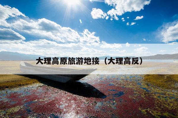 大理高原旅游地接（大理高反）