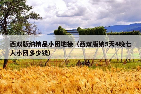 西双版纳精品小团地接（西双版纳5天4晚七人小团多少钱）