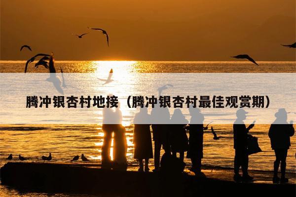 腾冲银杏村地接（腾冲银杏村最佳观赏期）