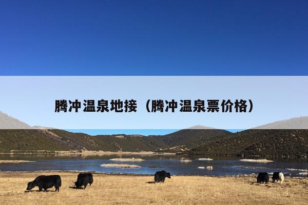 腾冲温泉地接（腾冲温泉票价格）