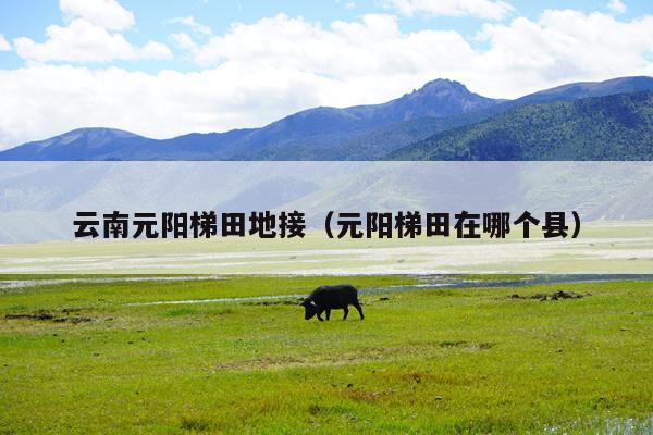 云南元阳梯田地接(元阳梯田在哪个县)