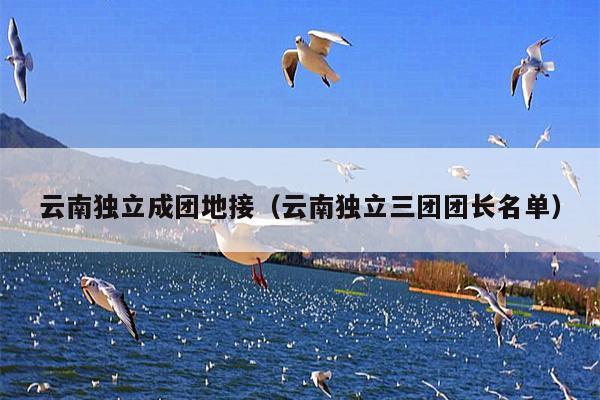 云南独立成团地接（云南独立三团团长名单）
