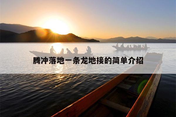 腾冲落地一条龙地接的简单介绍