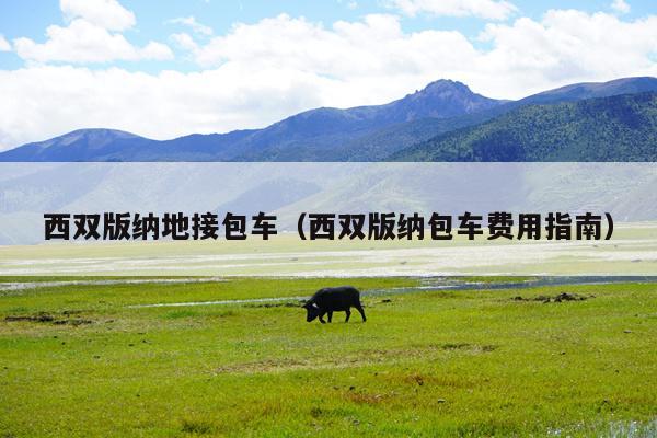 西双版纳地接包车（西双版纳包车费用指南）