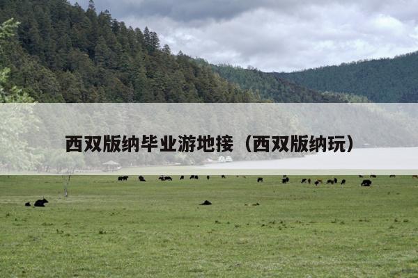 西双版纳毕业游地接（西双版纳玩）