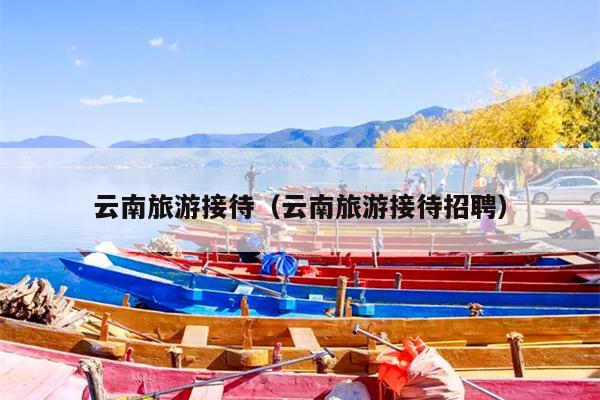 云南旅游接待（云南旅游接待招聘）