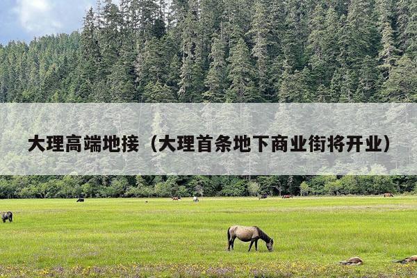 大理高端地接（大理首条地下商业街将开业）