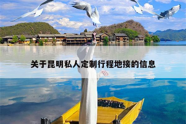 关于昆明私人定制行程地接的信息