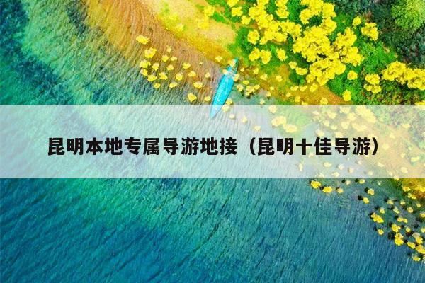 昆明本地专属导游地接（昆明十佳导游）
