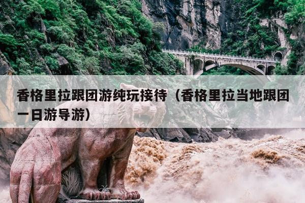 香格里拉跟团游纯玩接待（香格里拉当地跟团一日游导游）