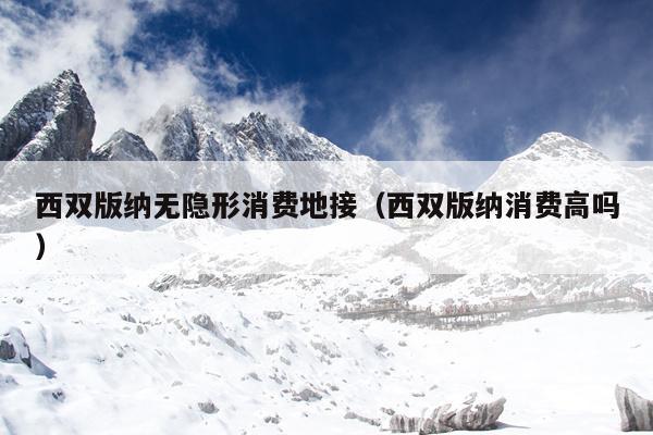 西双版纳无隐形消费地接（西双版纳消费高吗）