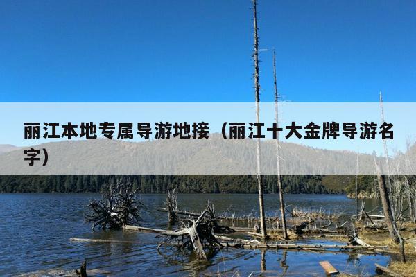 丽江本地专属导游地接（丽江十大金牌导游名字）