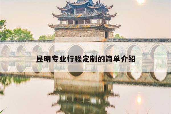 昆明专业行程定制的简单介绍
