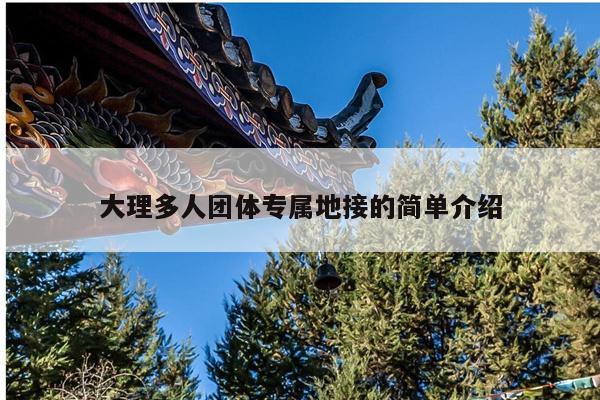 大理多人团体专属地接的简单介绍