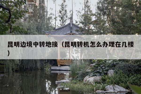 昆明边境中转地接（昆明转机怎么办理在几楼）